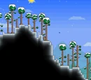 Snow Biome