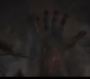 The Ancient Ones