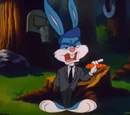 The Acme Acres Zone