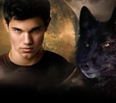 Twilight Saga Wiki