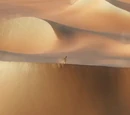 Rub' al Khali