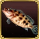 Grouper.png
