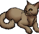 Mudfur