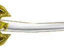 Valor