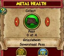 Metal Health