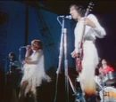 The Who
