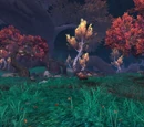 Townlong Steppes
