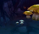 Lunar Fungal Bloom