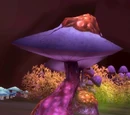 Underbog Mushroom