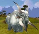 Tusker