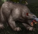 Rabid Thistle Bear