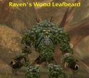 Raven's Wood Leafbeard