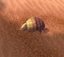 Armadillo