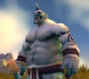 Boulderfist Ogre