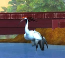 Whitefeather Crane