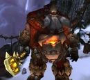 Fjorn