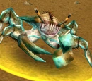 Shore Crawler