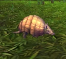 Pangolin
