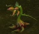 Bloodpetal Pest