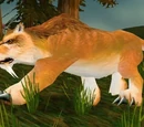 Mountain Lion