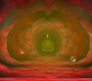 Inside Jabu-Jabu's Belly
