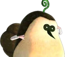 Kikwi