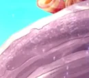 Musa's Guardian of Sirenix