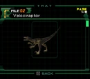 Velociraptor (file)