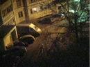 DSC05894.jpg