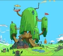 Tree Fort