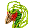 Dragón Planta