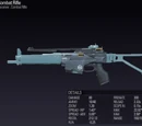 Combat Rifle