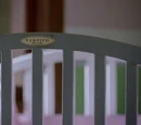 Tampico Furniture