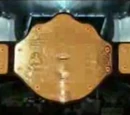 NGW World Heavyweight Championship