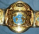 ACWL World Heavyweight Championship