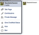 Sarah Manley/Updates to Wikia Chat