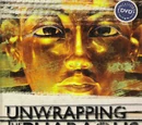 Unwrapping the Pharaohs