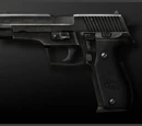 NX Standard Pistols