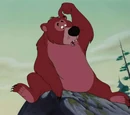 Bear (Peter Pan)