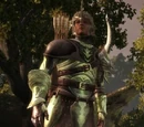 Codex entry: Ancient Elven Armor