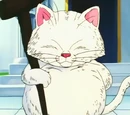 Korin