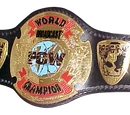 PCW Broadcast Championship