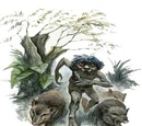 Curupira