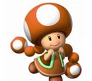 New Super Mario Sunshine/Beta Elements