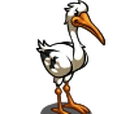 White Stork