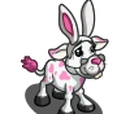 Rabbit Ears Calf