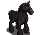 Clydesdale Stallion