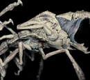 Human Scale Parasite