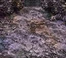Cave of Shadows