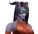 Revier:Sturmwind